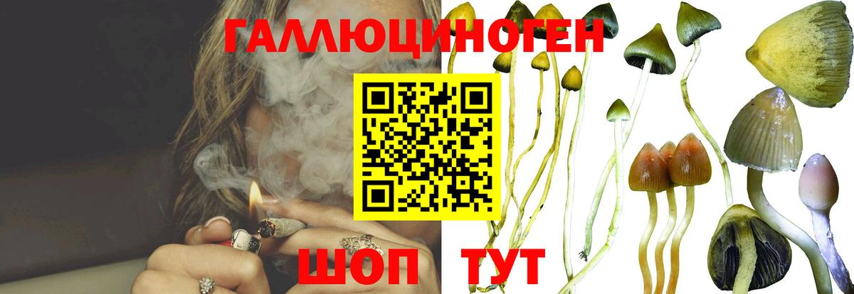 Псилоцибиновые грибы Cubensis  Вход с VPN  Туапсе 